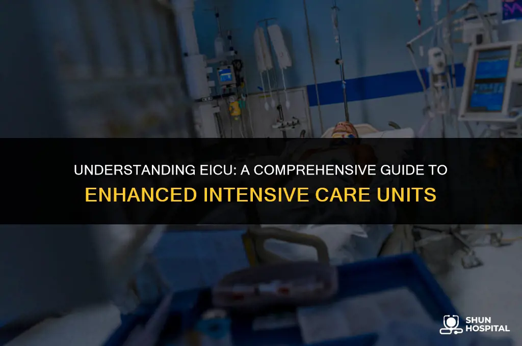 what is eicu in hospital