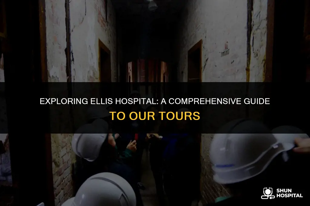 what is ellis hospital tours