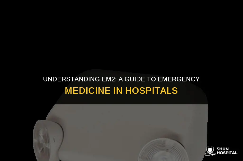 what is em2 in hospital