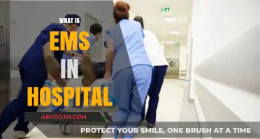 Understanding EMS: The Lifeline of Hospital Emergency Care