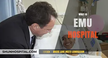 Exploring Emu Hospital: A Comprehensive Guide to Its Services