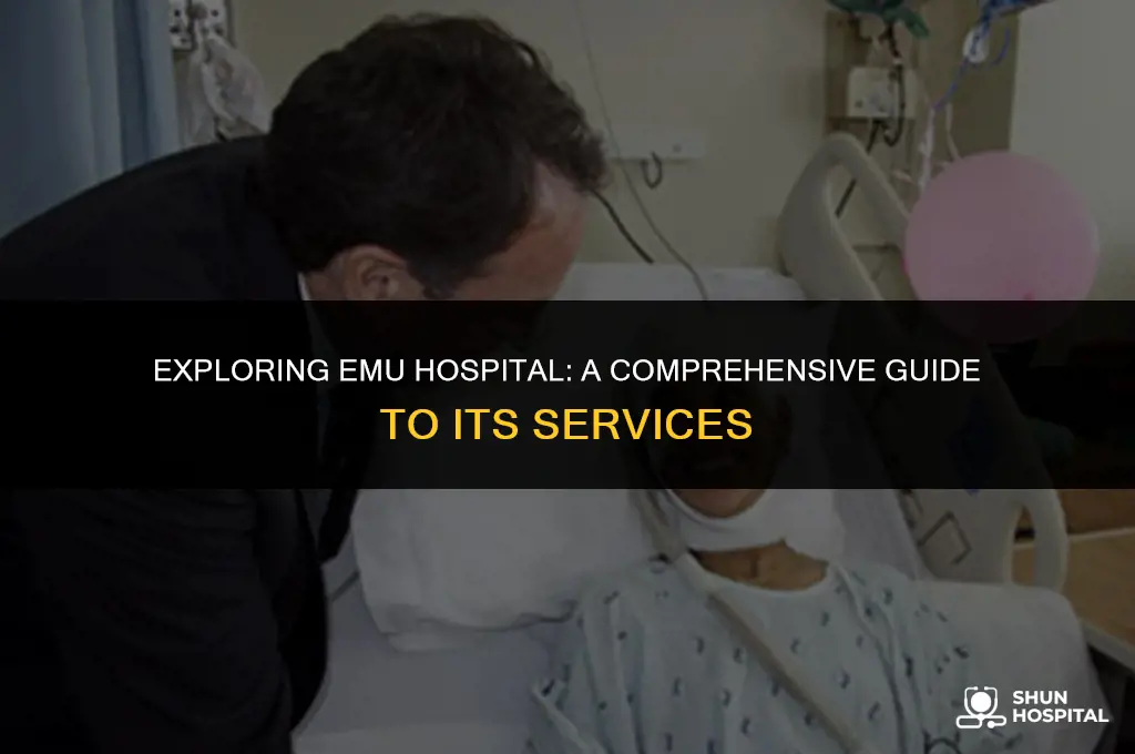 what is emu hospital