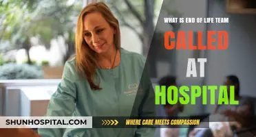 Understanding the Role of Hospital End-of-Life Care Teams
