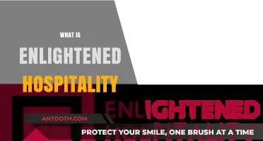 Exploring the Essence of Enlightened Hospitality: A Journey Beyond Service