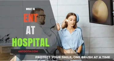Understanding ENT: A Comprehensive Guide to Hospital Ear, Nose, and Throat Care