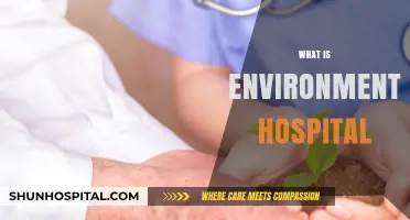 Exploring Environmental Hospitals: A New Era in Healthcare Sustainability