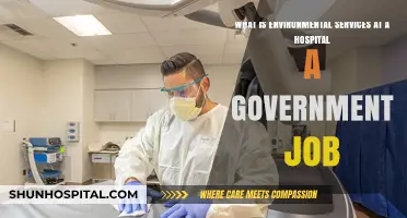 Exploring Environmental Services: Hospital Roles and Government Job Opportunities