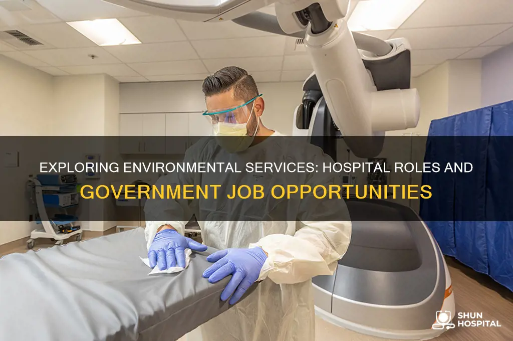 what is environmental services at a hospital a government job