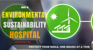 Eco-Friendly Healthcare: The Path to Environmental Sustainability in Hospitals
