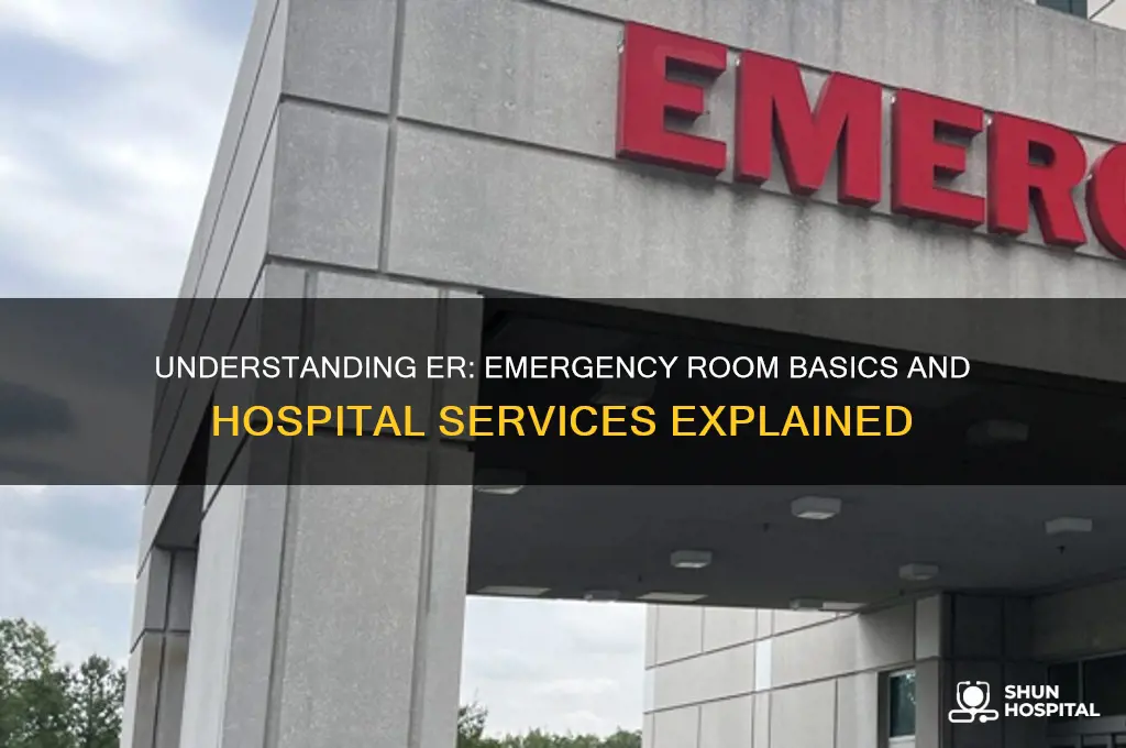 what is er in hospital