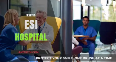Understanding ESI Hospital: A Comprehensive Guide to Services and Benefits