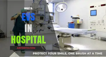 Understanding EVS: Essential Hospital Environmental Services Explained Simply