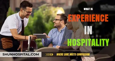 Exploring the Essence of Hospitality Experience
