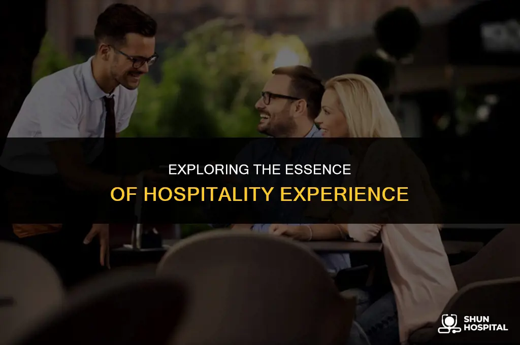 what is experience in hospitality