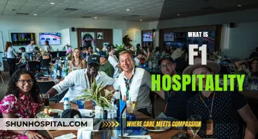 Exploring F1 Hospitality: A Beginner's Guide to VIP Experiences