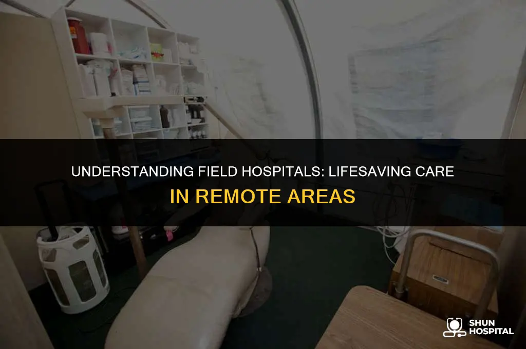 what is field hospital