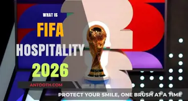 Exploring FIFA Hospitality 2026: A Comprehensive Guide to Packages and Experiences