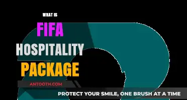 Discover the Ultimate FIFA Hospitality Package Experience and Benefits