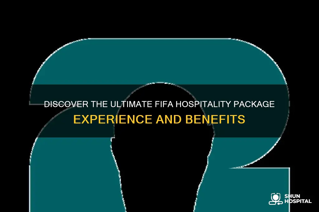 what is fifa hospitality package