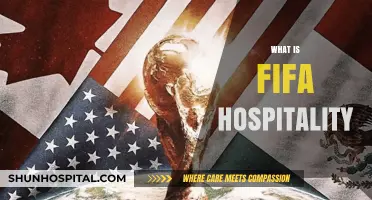 Exploring FIFA Hospitality: Exclusive Experiences and Premium Packages Revealed