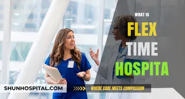 Exploring Flex Time Hospitalization: A Modern Approach to Healthcare