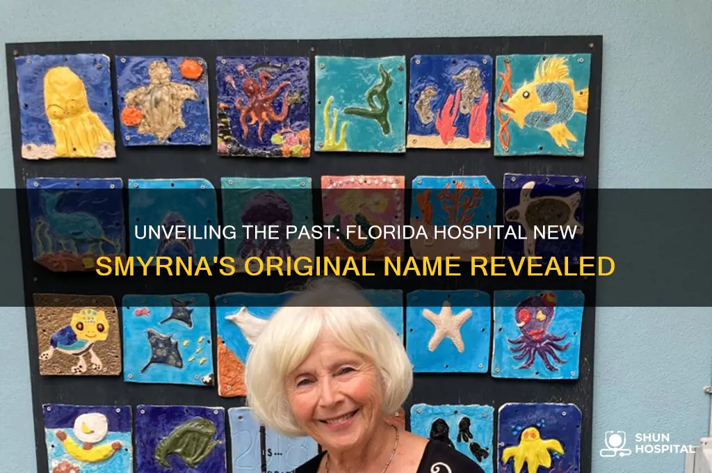 what is florida hospital new smyrna