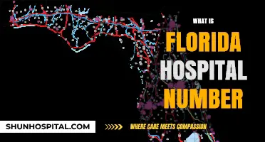 Exploring Florida's Healthcare: A Guide to Hospital Numbers