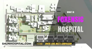 Unveiling the Mysteries of Forensic Hospitals: A Comprehensive Guide