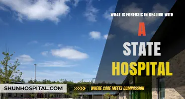 Forensic Practices in State Hospitals: Roles, Procedures, and Legal Implications