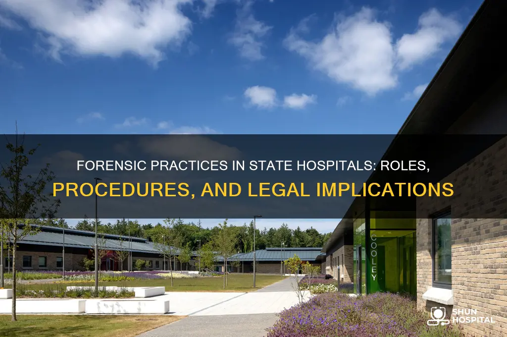 what is forensic in dealing with a state hospital