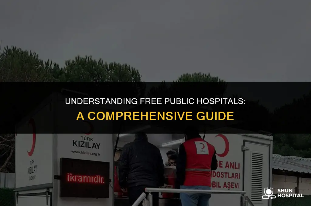 what is free public hospitals