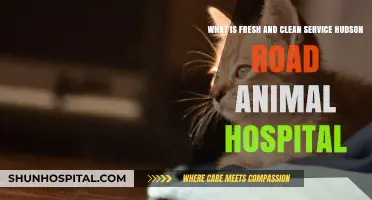 Fresh & Clean Service at Hudson Road Animal Hospital Explained