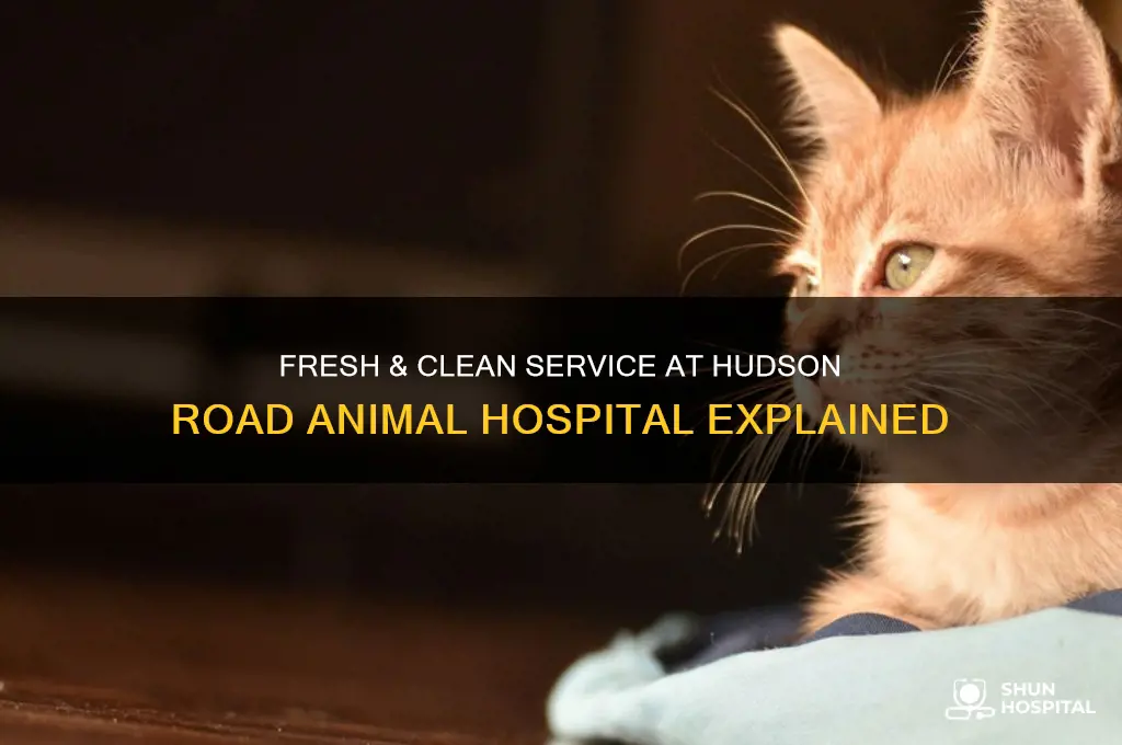 what is fresh and clean service hudson road animal hospital