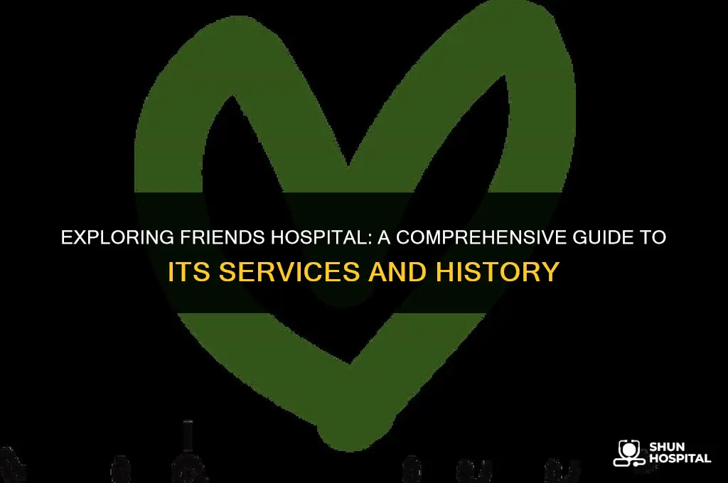 what is friends hospital