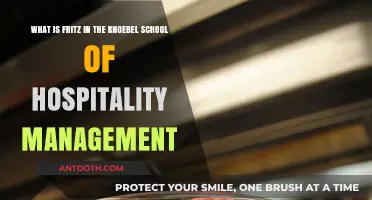 Understanding Fritz: A Key Concept in Knoebel's Hospitality Management