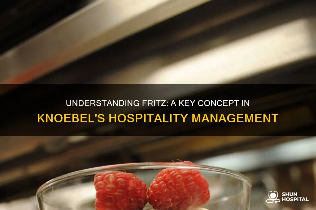 what is fritz in the knoebel school of hospitality management