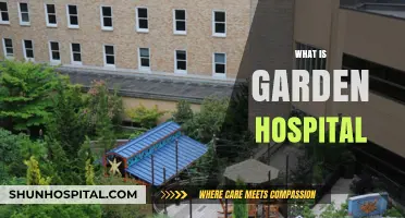 Exploring the Concept of Garden Hospitals: A Holistic Approach to Healthcare