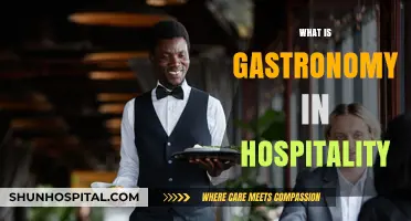 Exploring Gastronomy's Role in Elevating Hospitality Experiences
