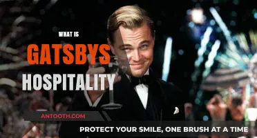 Exploring Gatsby's Extravagant Hospitality: A Reflection on the Roaring Twenties