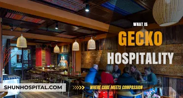 Understanding Gecko Hospitality: Revolutionizing Guest Experiences in the Industry