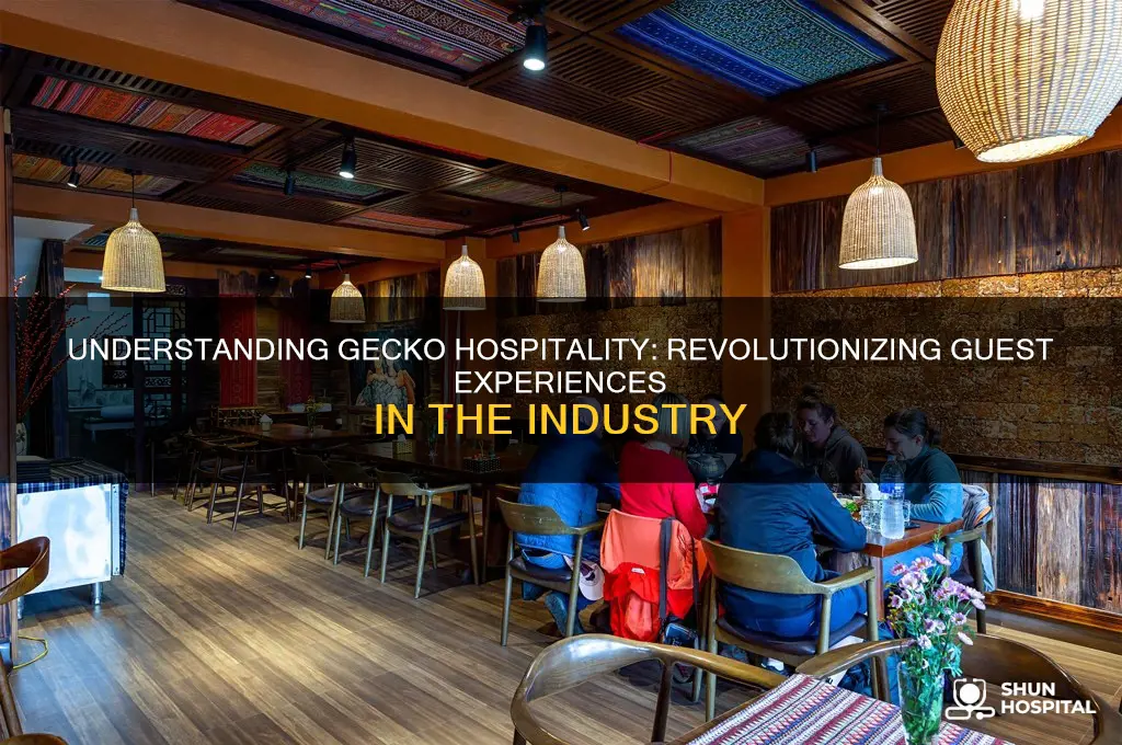 what is gecko hospitality