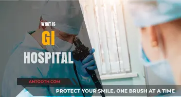Understanding GI Hospitals: A Comprehensive Guide to Gastrointestinal Care