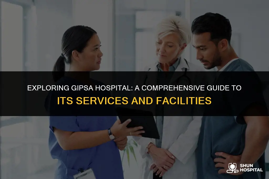 what is gipsa hospital