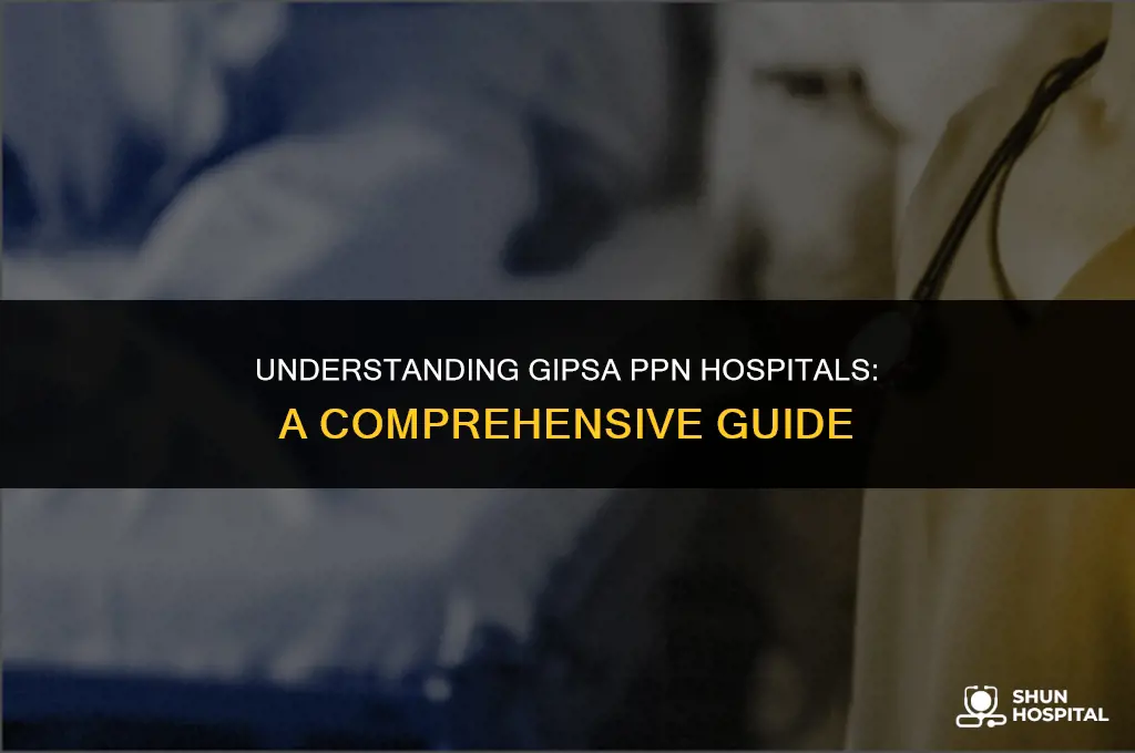 what is gipsa ppn hospitals