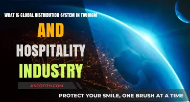 Understanding Global Distribution Systems in Tourism and Hospitality
