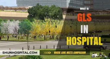 Understanding GLS in Hospitals: A Comprehensive Guide