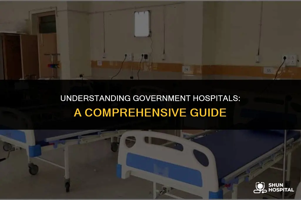 what is government hospital