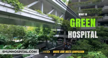Sustainable Healing: Exploring the Concept of Green Hospitals