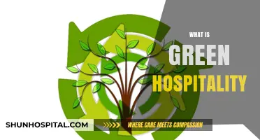Sustainable Stays: Unveiling the Essence of Green Hospitality
