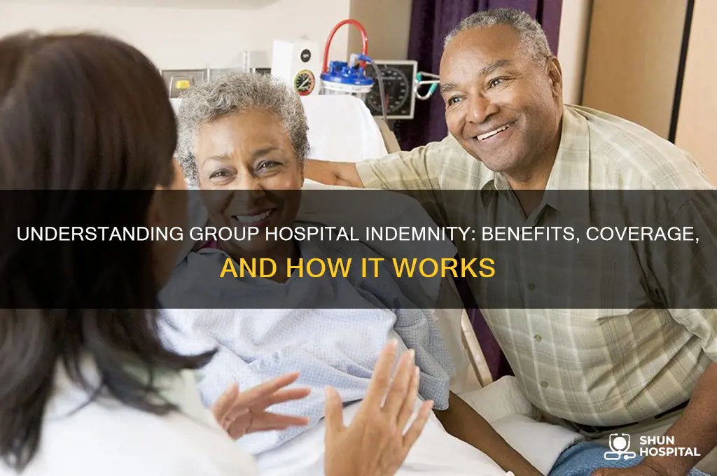 what is group hospital indemnity